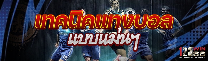 เทคนิคแทงบอล แบบแม่นๆ