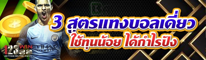 3 สูตรแทงบอลเดี่ยว ใช้ทุนน้อย ได้กำไรปัง