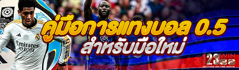 คู่มือการแทงบอล 0.5 สำหรับมือใหม่