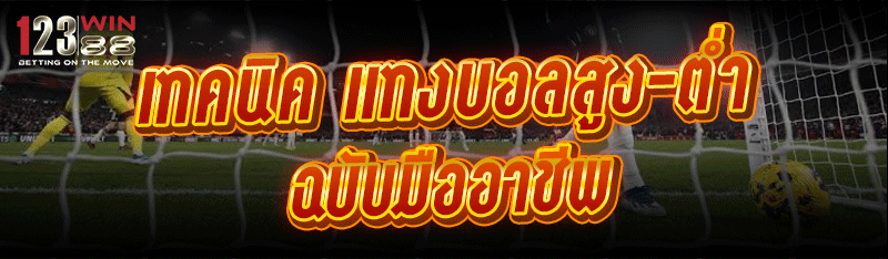 เทคนิค แทงบอลสูง-ต่ำ ฉบับมืออาชีพ
