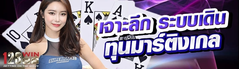 เจาะลึก ระบบเดินทุนมาร์ติงเกล