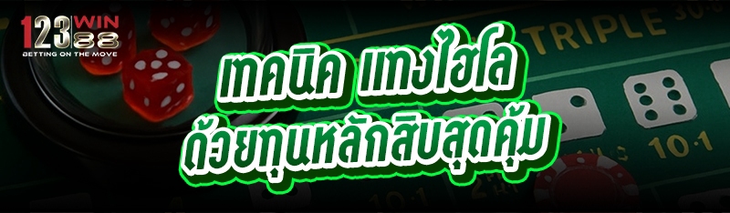 เทคนิค แทงไฮโล ด้วยทุนหลักสิบสุดคุ้ม