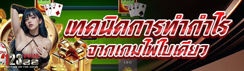 เทคนิคการทำกำไรจากเกมไพ่ใบเดียว