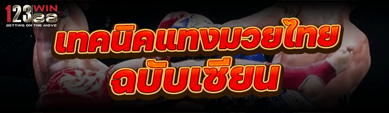 เทคนิคแทงมวยไทย ฉบับเซียน