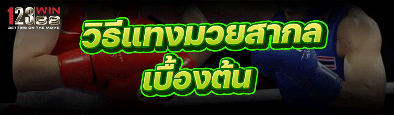 วิธีแทงมวยสากล เบื้องต้น