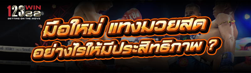 มือใหม่ แทงมวยสด อย่างไรให้มีประสิทธิภาพ ?