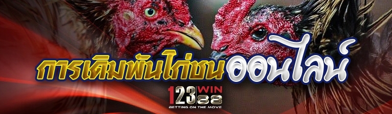 การเดิมพันไก่ชนออนไลน์